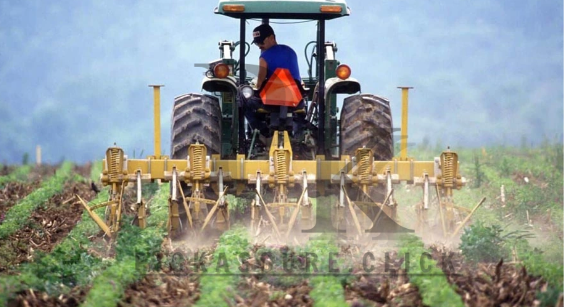 Wholesale FARM TRACTOR